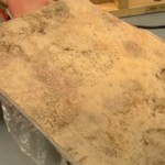 How to Clean Up Mold