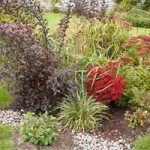 Using Rain Gardens to Keep Waterways Pollution-Free