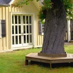 How to Build a Tree Bench